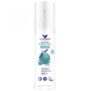 Desodorante natural spray menta y...