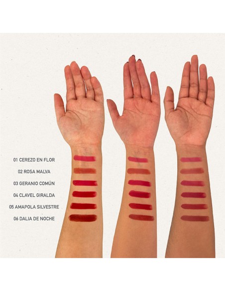 Pintallavis 04 clavell Giralda NaturaBIO Cosmetics