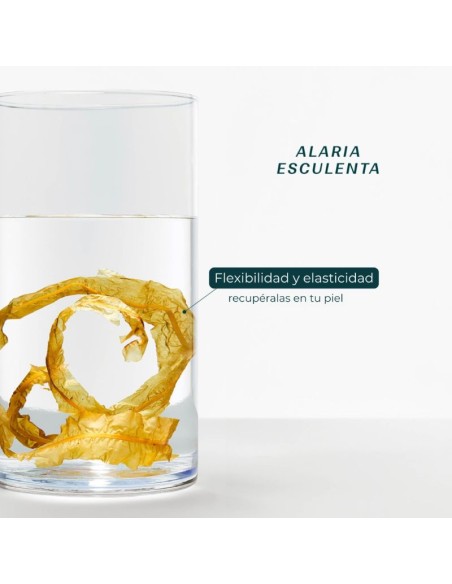 Exfoliante corporal  Laboratoires de Biarritz