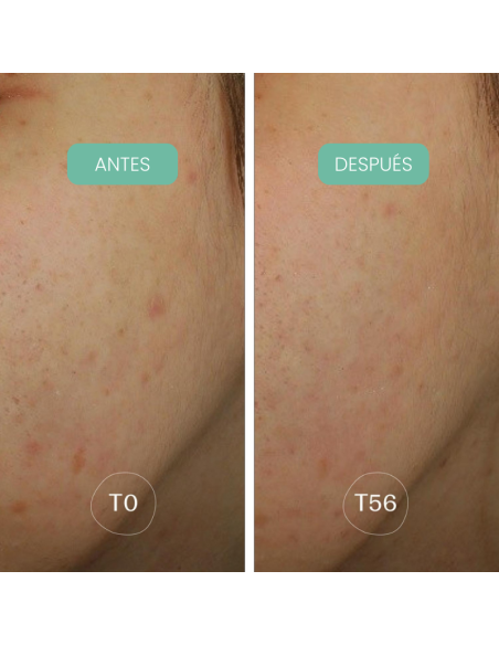 Crema nit antitaques Alga-Biotic Laboratoires de Biarritz