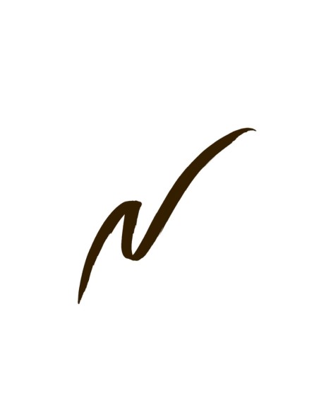 Eyeliner perfilador ojos liquido 02 coffee Sante