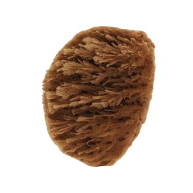 Esponja grass NaturaSPA Cosmetics